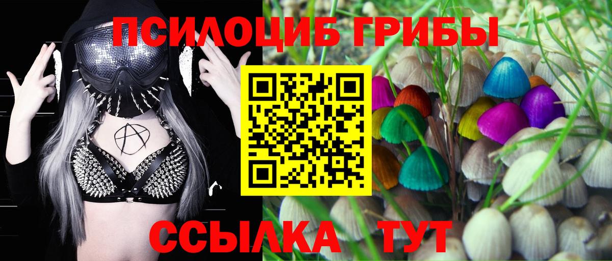 Псилоцибиновые грибы Magic Shrooms  Вход с VPN  Асбест 